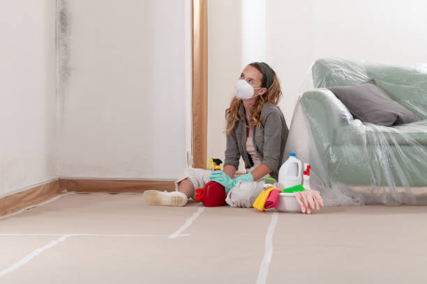 Reliable Mold Remediation contractor in Lynnwood, WA by WQB Mold Removal